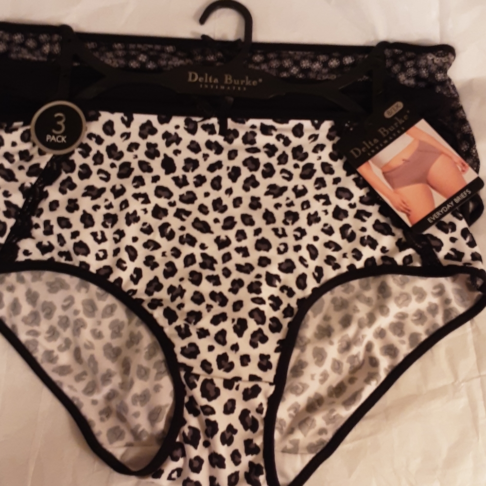 NWT  Delta Burke 3 Pairs Everyday Briefs Size 8/1X
